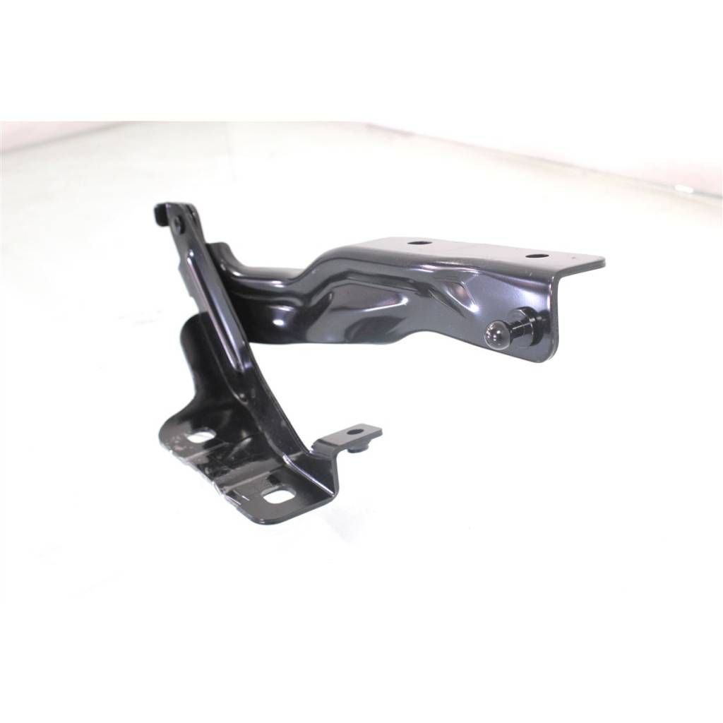 NISSAN(DATSUN) MAXIMA HOOD HINGE RIGHT (Passenger Side) OEM#654009N00B 2009-2015 PL#NI1236139