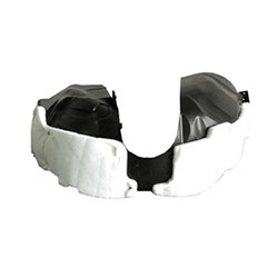 FORD TAURUS FRONT FENDER LINER LEFT (Driver Side)**CAPA** OEM#BG1Z16103A 2013-2019 PL#FO1248144C