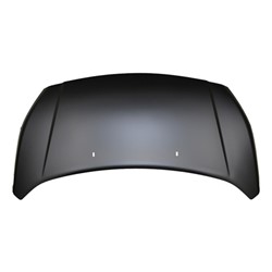 FORD TRUCKS & VANS TRANSIT CONNECT HOOD OEM#DT1Z16612A (P) 2014-2018 PL#FO1230306