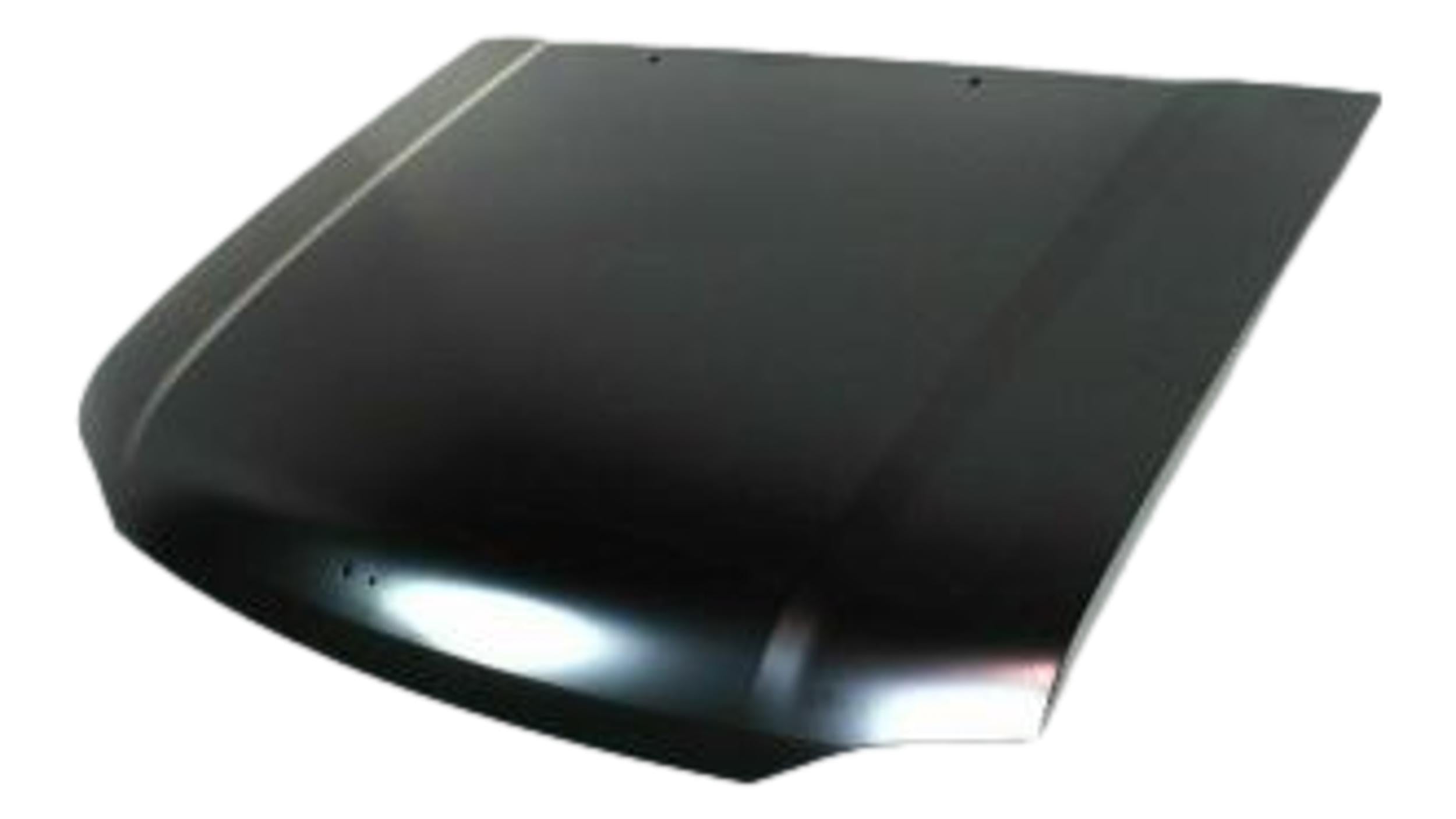 NISSAN(DATSUN) FRONTIER HOOD OEM#651009Z435 2001-2004 PL#NI1230156