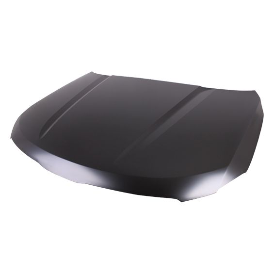 KIA TELLURIDE HOOD**CAPA** OEM#66400S9000 2020-2025 PL#KI1230146C