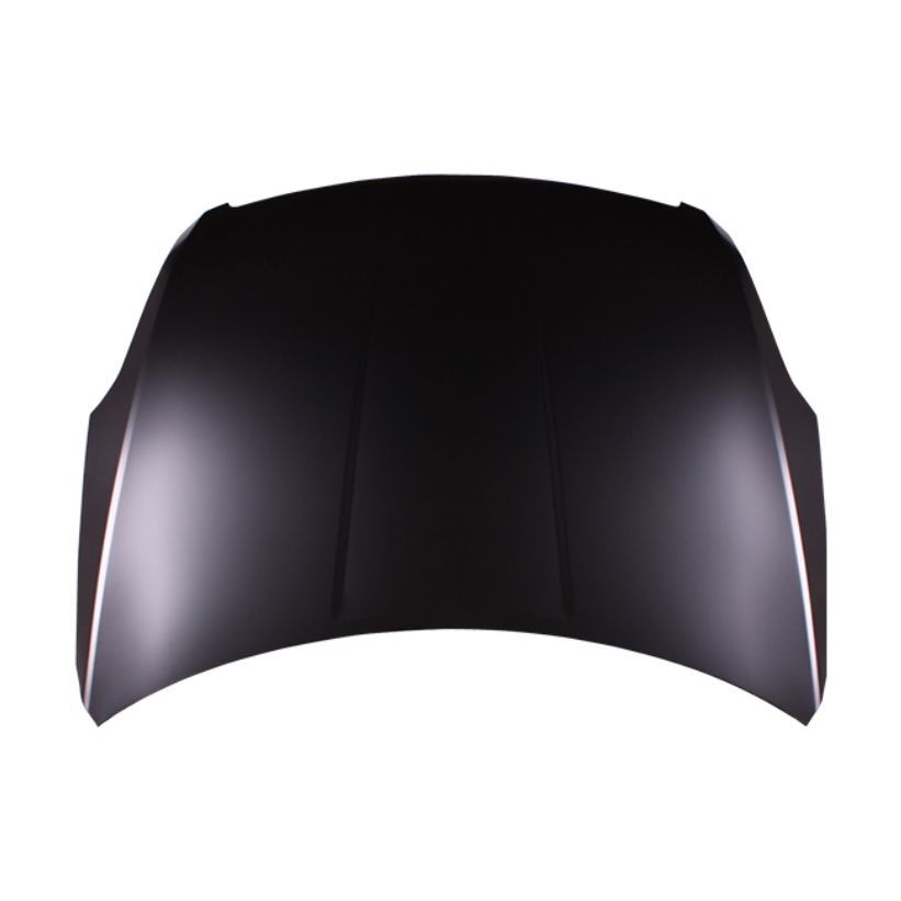 NISSAN(DATSUN) ALTIMA COUPE HOOD (STEEL) OEM#65100JA00D-PFM 2008-2009 PL#NI1230178